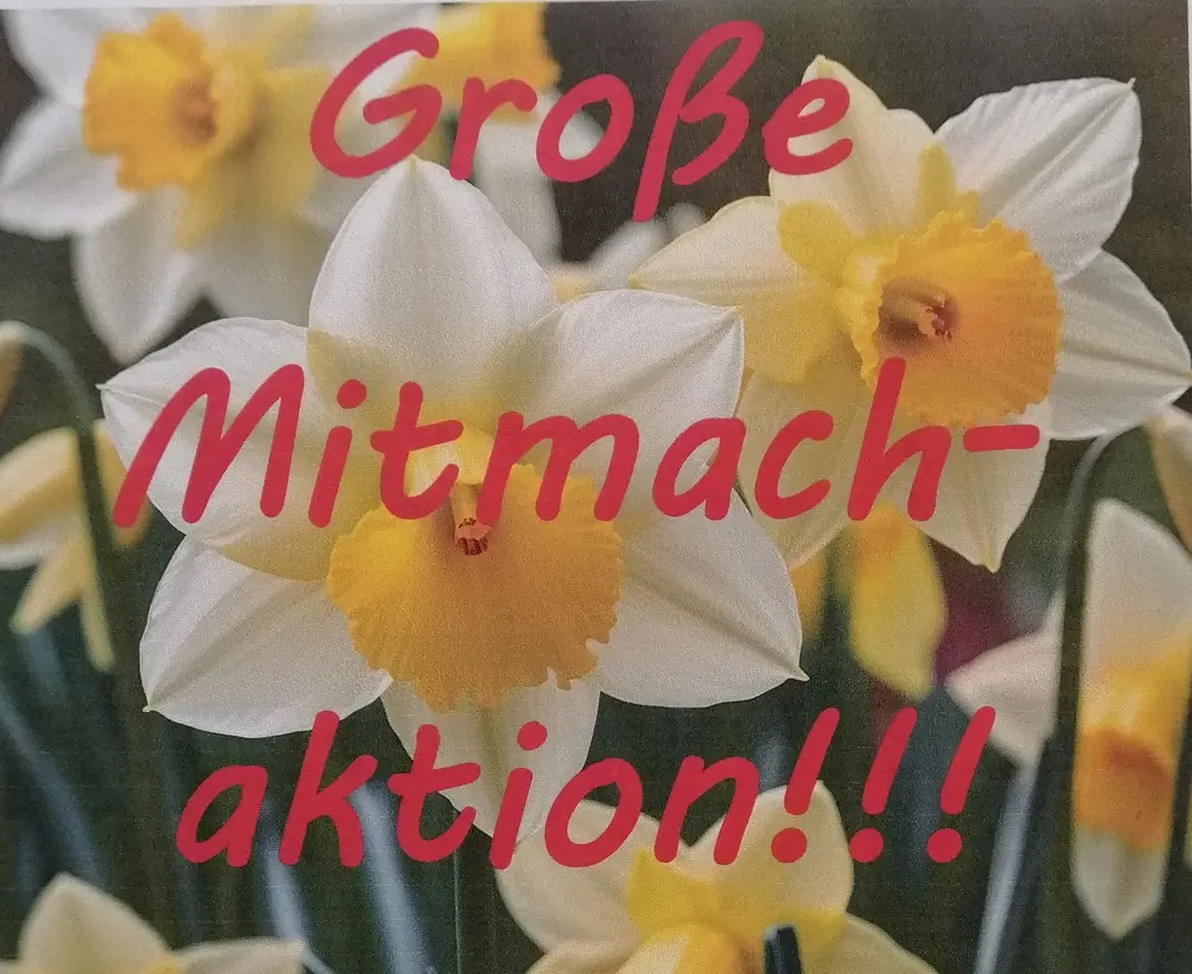 Umpflanzung der Straßenschilder