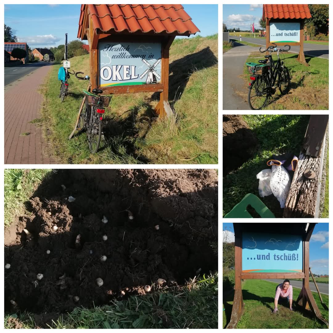 Umpflanzung der Straßenschilder – Foto 3