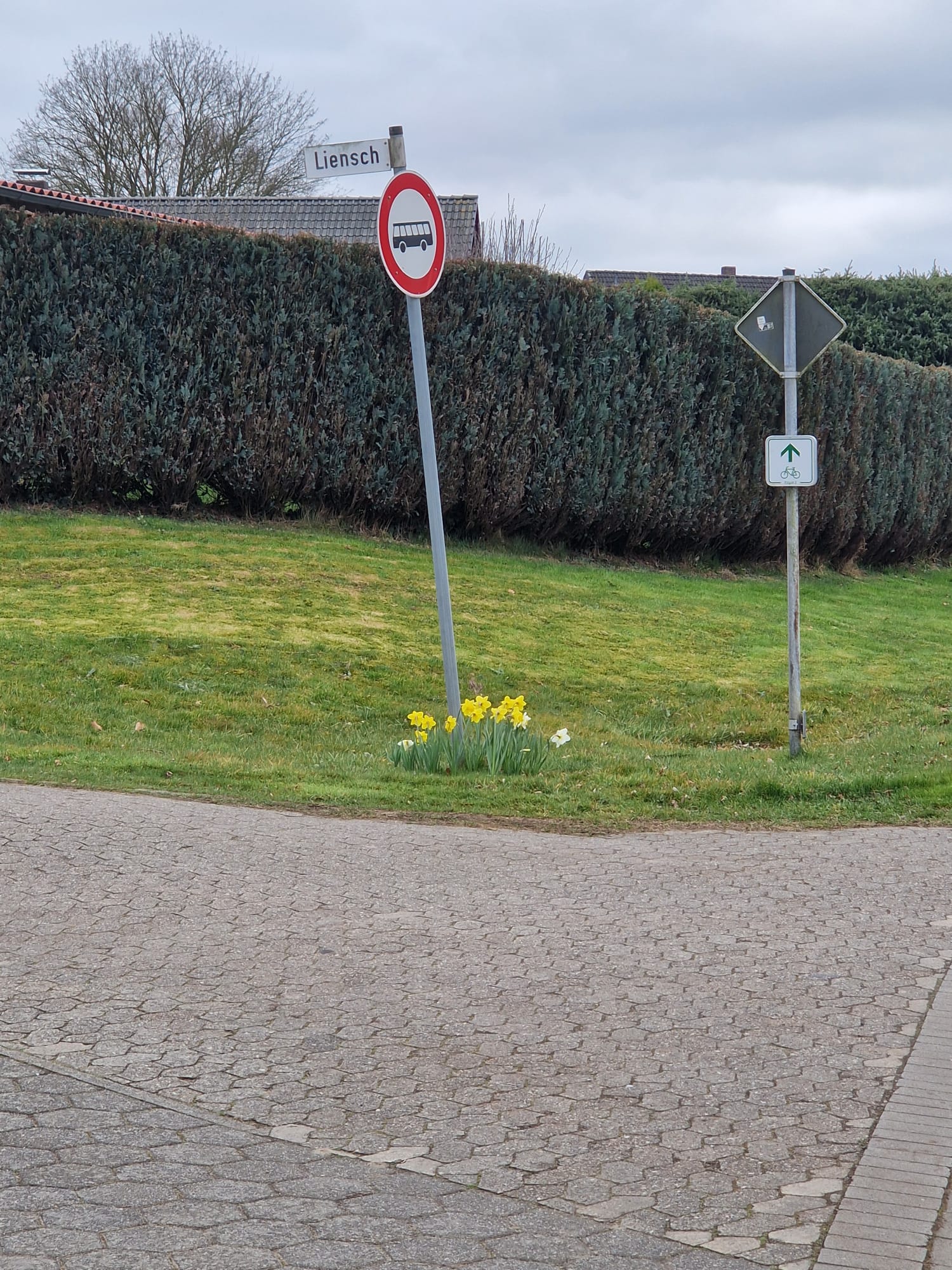 Umpflanzung der Straßenschilder – Foto 4