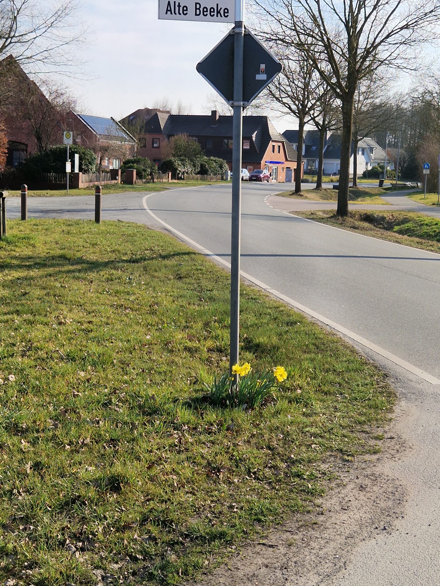 Umpflanzung der Straßenschilder – Foto 6