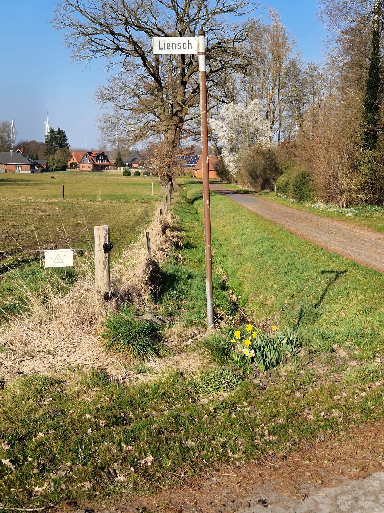 Umpflanzung der Straßenschilder – Foto 8