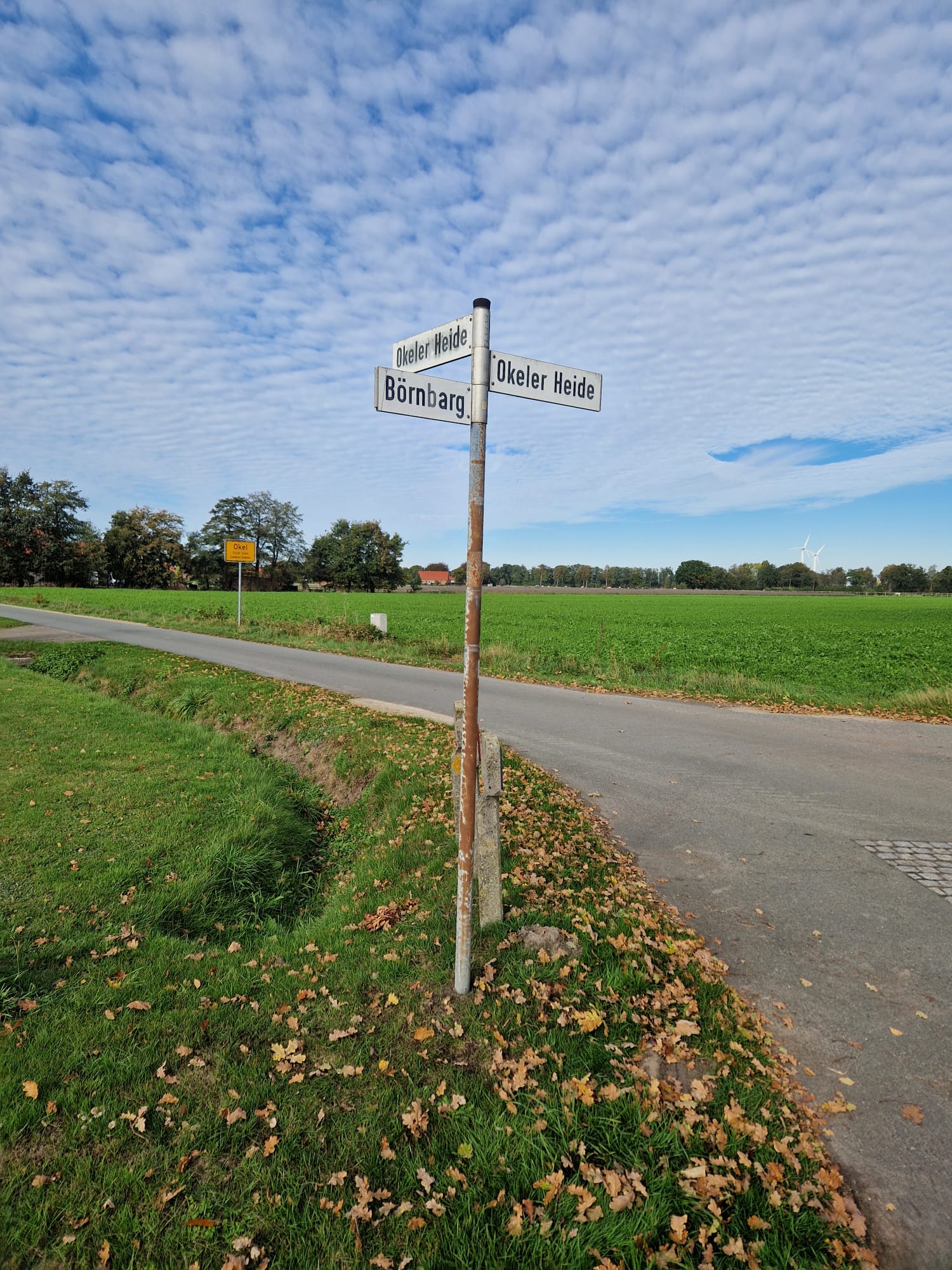 Umpflanzung der Straßenschilder – Foto 10