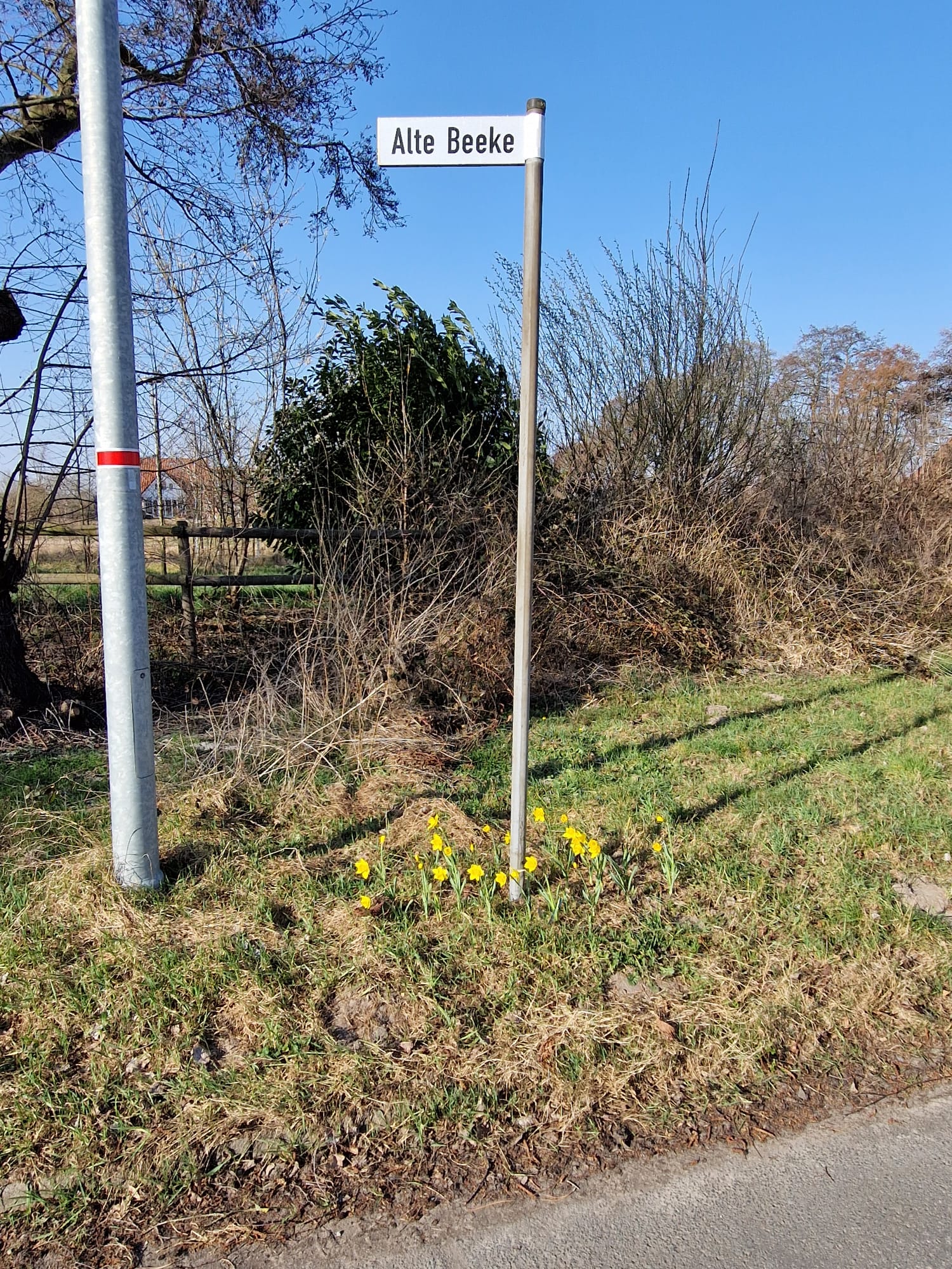 Umpflanzung der Straßenschilder – Foto 11