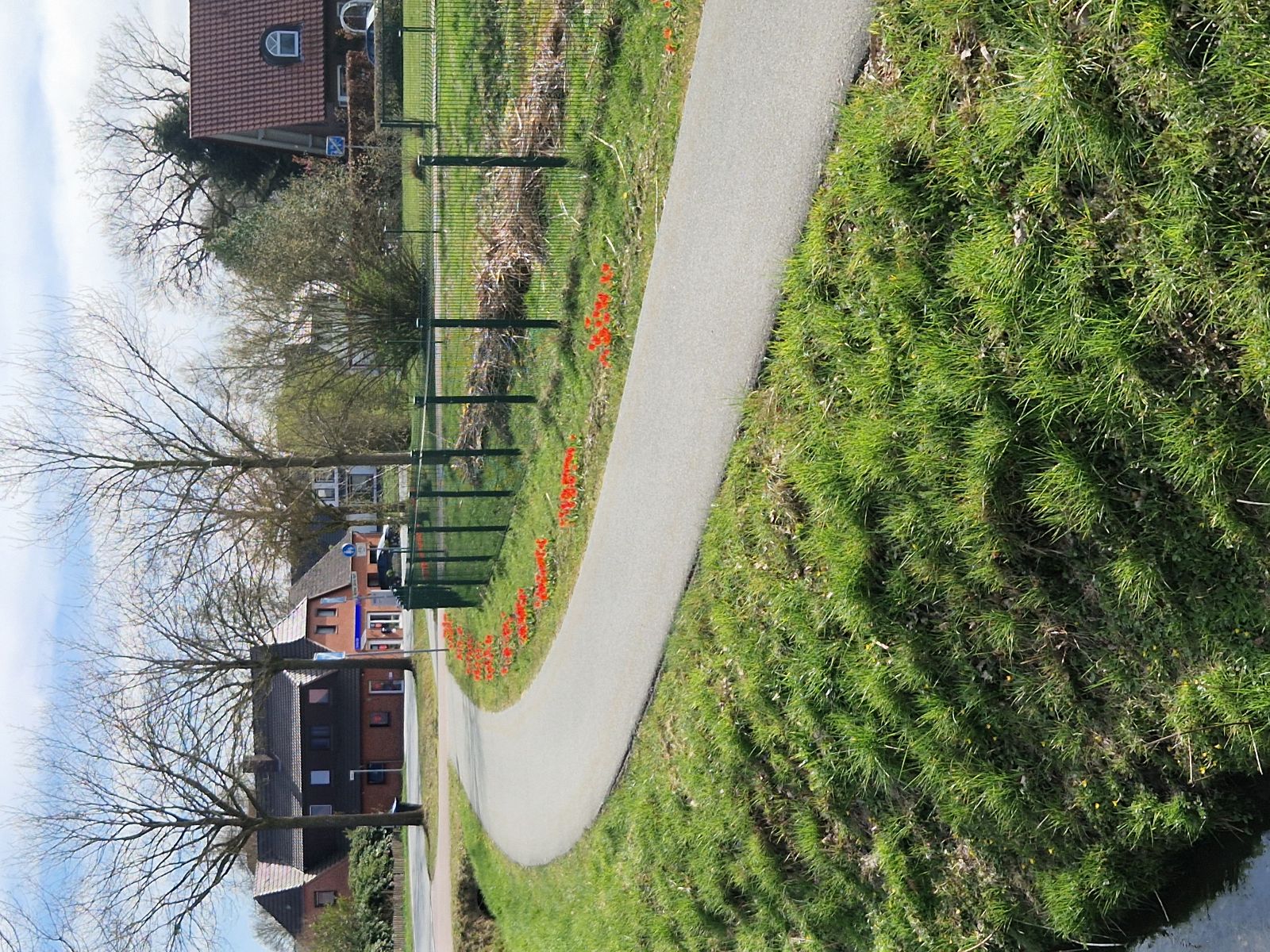 Blumenpflanzung "Achter Jürns Hoff"