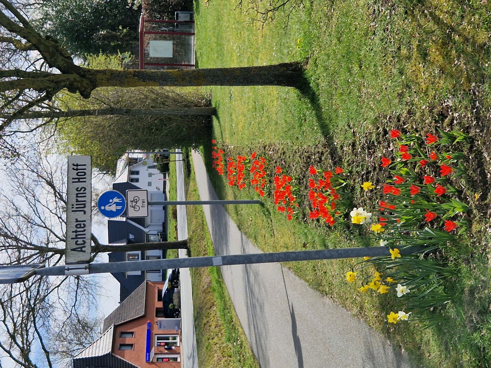 Blumenpflanzung "Achter Jürns Hoff" – Foto 5
